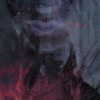 Fierce [Remixes and More] [Limited Edition] [LP] - VINYL - Front_Original