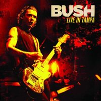 Live in Tampa [LP] - VINYL - Front_Standard