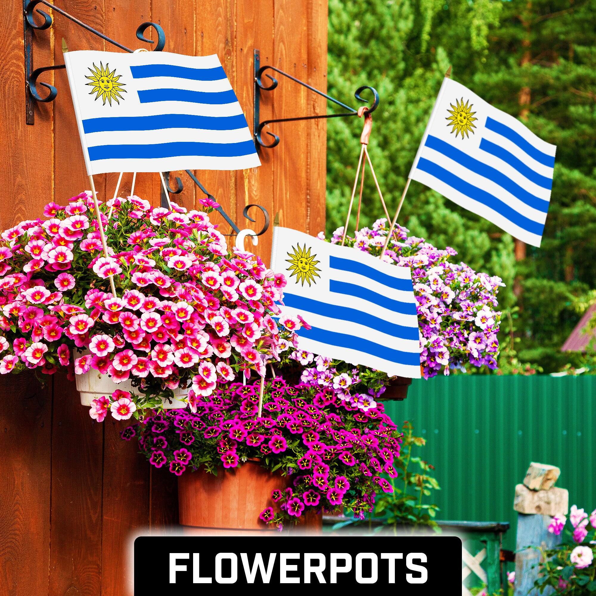 Angle. G128 - 12 Pack Handheld Uruguay Stick Flags, 12" x 18", 150D Polyester with Wooden Pole and Gold Spear Tip. - Assorted Colors.