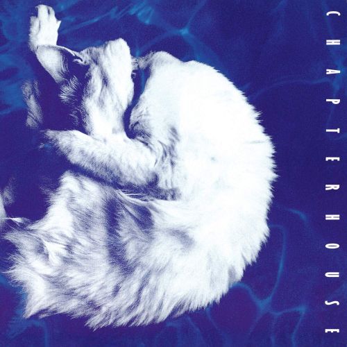 Whirlpool [LP] - VINYL