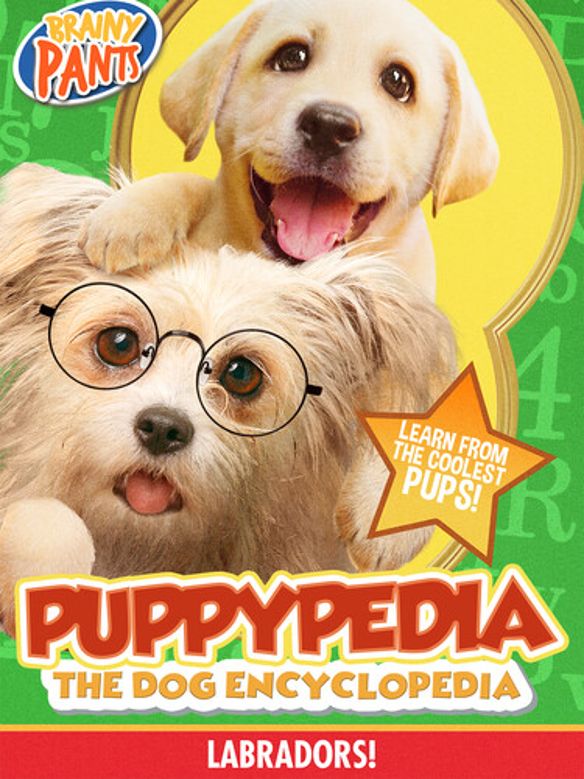 Puppy-Pedia: The Dog Encyclopedia - Labradors! [DVD] [2020]