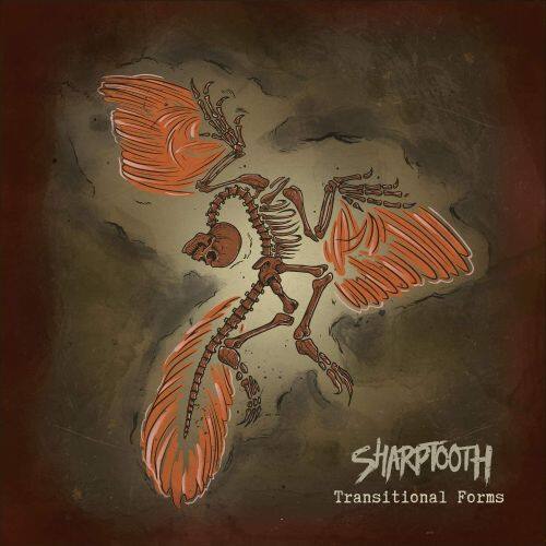 

Transitional Forms [Limited Edition] [LP] - VINYL