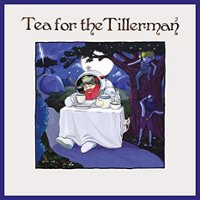 Tea for the Tillerman 2 [LP] - VINYL - Front_Standard