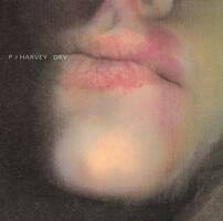 Dry [LP] - VINYL - Front_Original