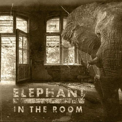 Front Standard. Elephant in the Room [LP] - VINYL.