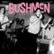 Front Standard. The  Bushmen [LP] - VINYL.