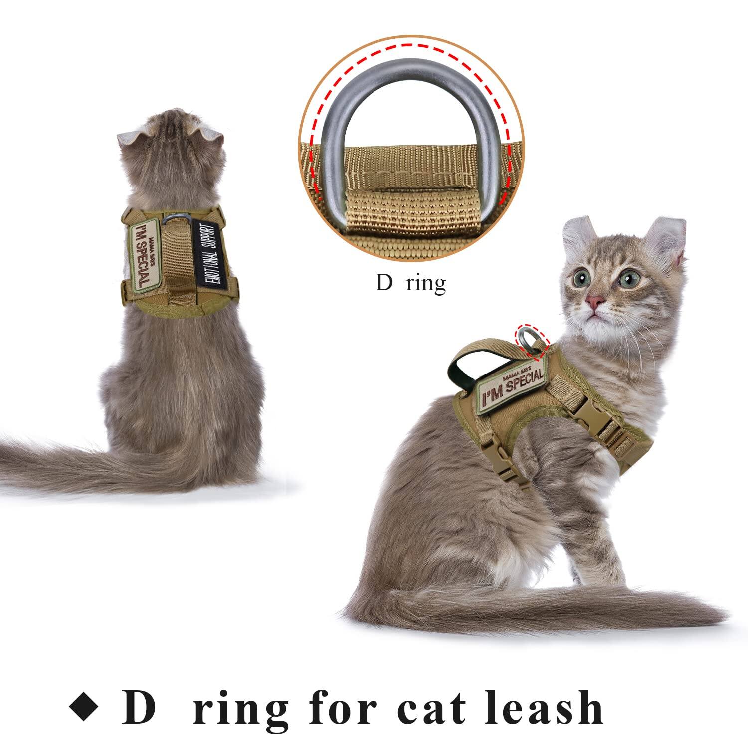 I'M SPECIAL  
I'M SPECIAL  
D ring  
D ring for cat leash