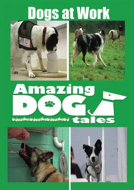 Amazing Dog Tales - Dogs at Work - DVD