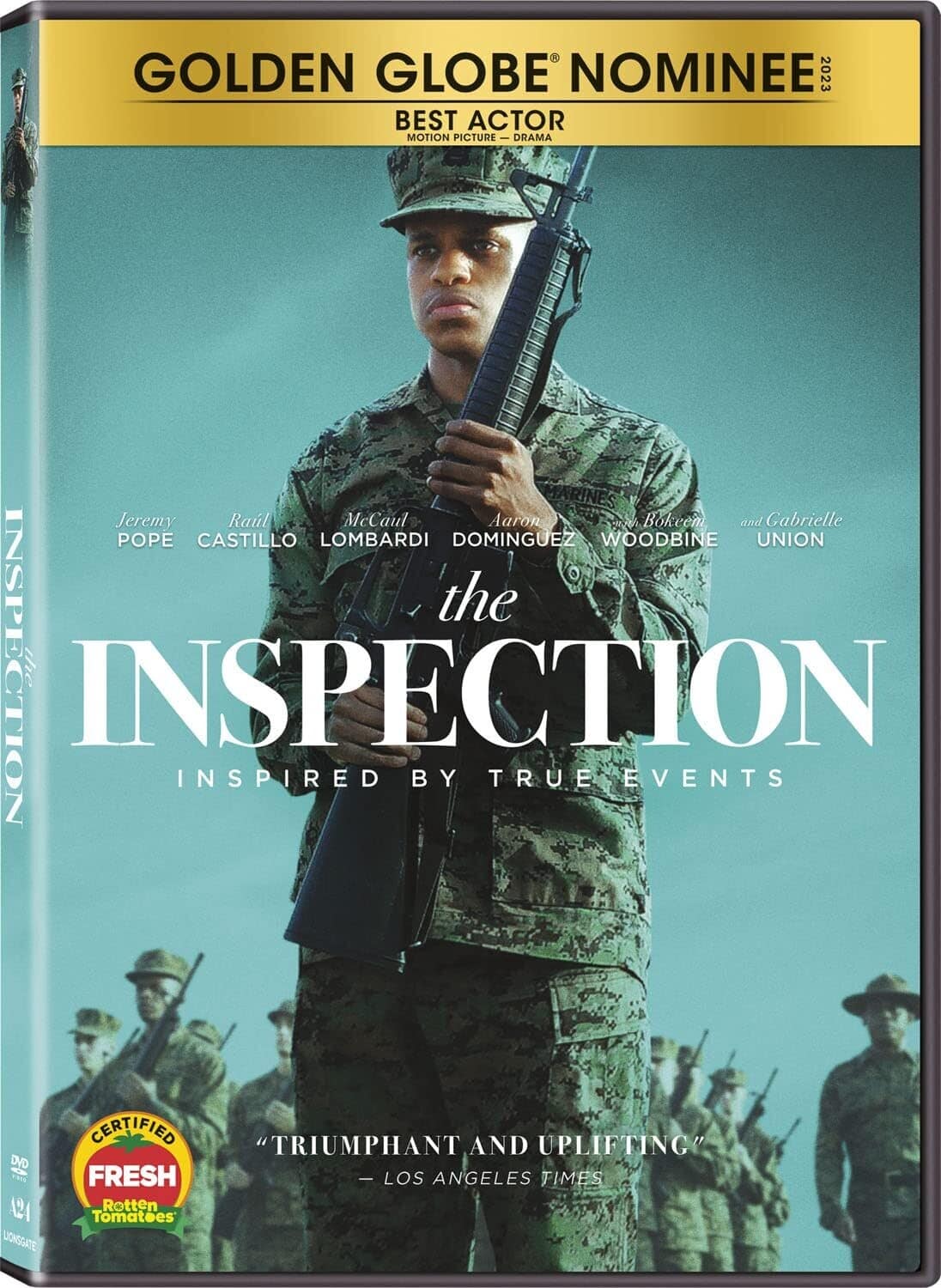 The Inspection   - DVD [Standard] price history on PriceWatchPro