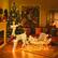 Alt View 12. Costway - 6 FT Christmas Lighted Reindeer & Santa's Sleigh W/ 215 LED Lights & 4 Stakes - Gold.