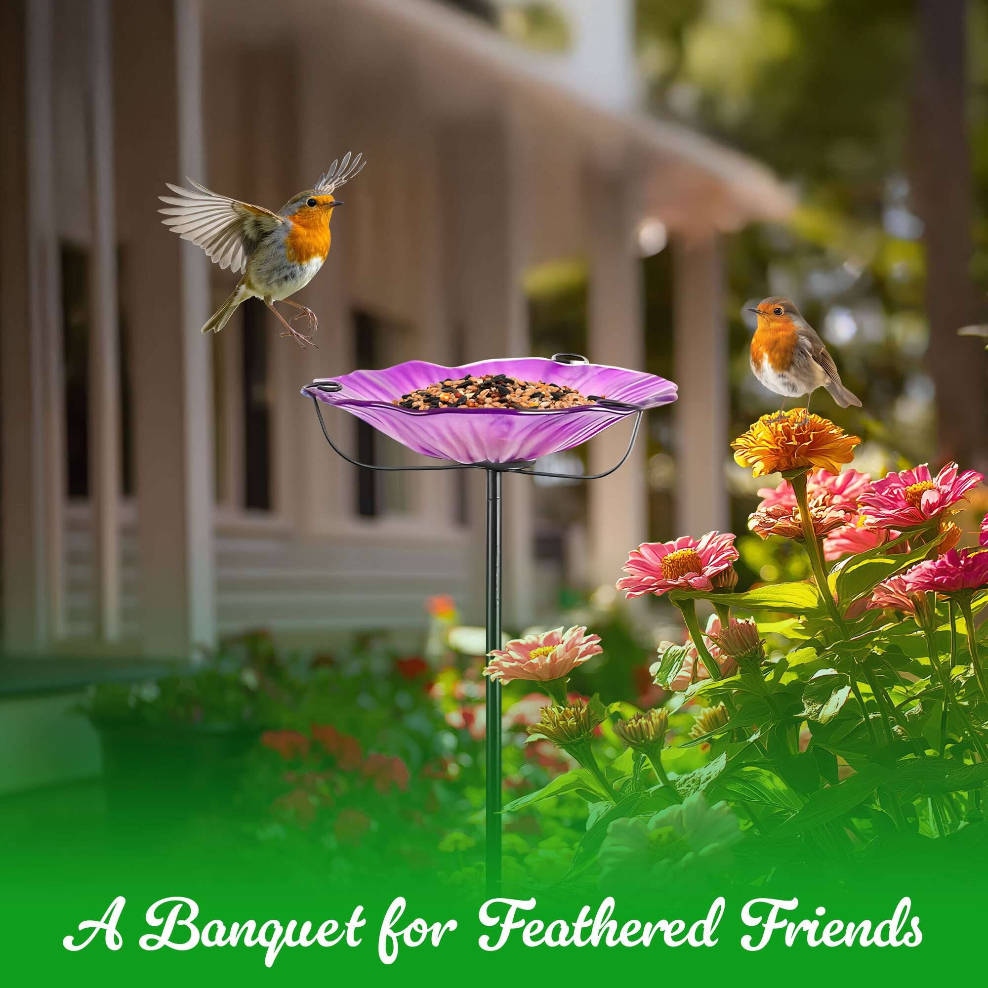 A Banquet for Feathered Friends