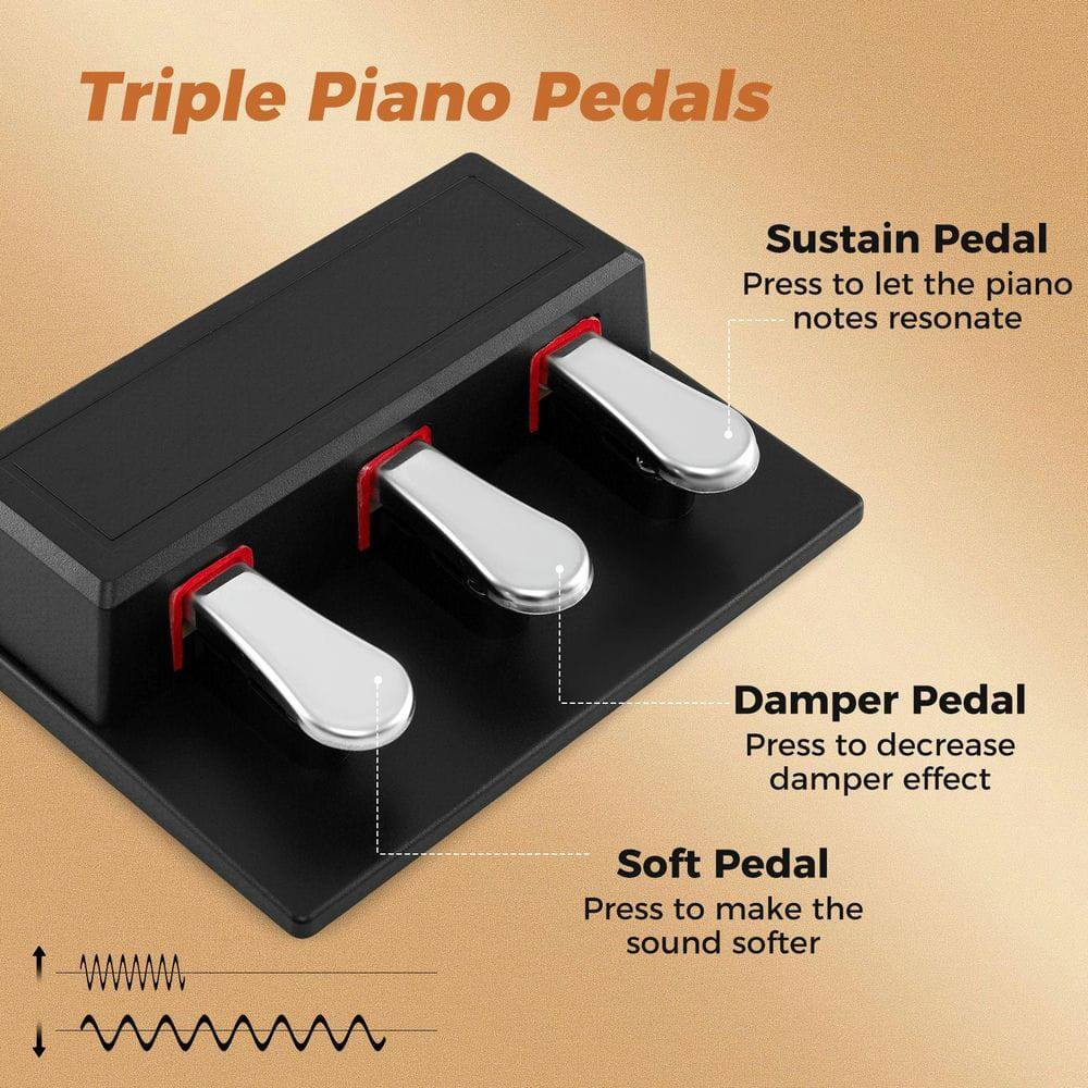 Triple Piano Pedals

Sustain Pedal  
Press to let the piano notes resonate

Damper Pedal  
Press to decrease damper effect

Soft Pedal  
Press to make the sound softer
