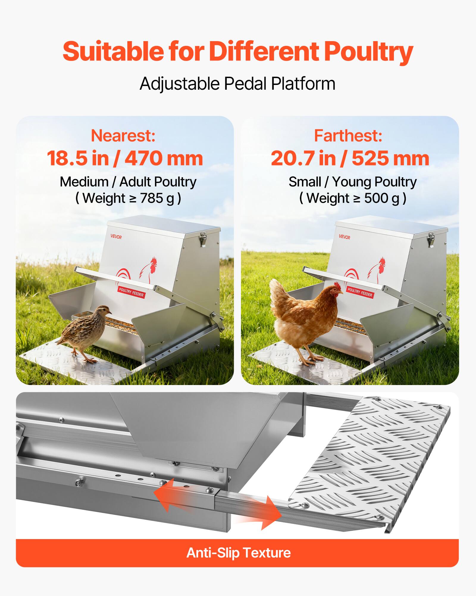 Suitable for Different Poultry  
Adjustable Pedal Platform  

Nearest:  
18.5 in / 470 mm  
Medium / Adult Poultry (Weight ≥ 785 g)  

Farthest:  
20.7 in / 525 mm  
Small / Young Poultry (Weight ≥ 500 g)  

Anti-Slip Texture