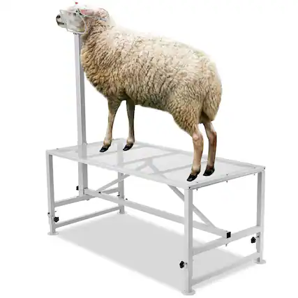 Front. VEVOR - Goat & Sheep Stand, 47x23 inch Livestock Stand, Metal Livestock Milking and Shearing Stand 21" to 33" Adjustable Height - White.