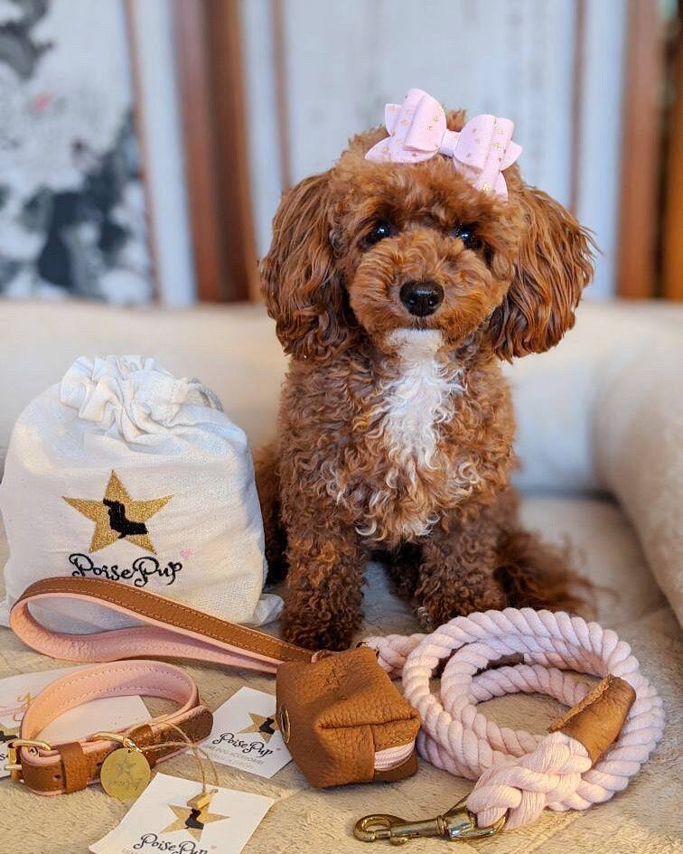 PoisePup S Poise.Pup Poise Pi