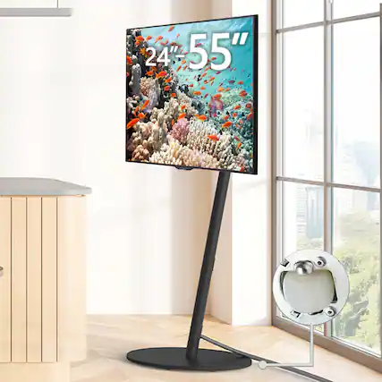 24" 55"