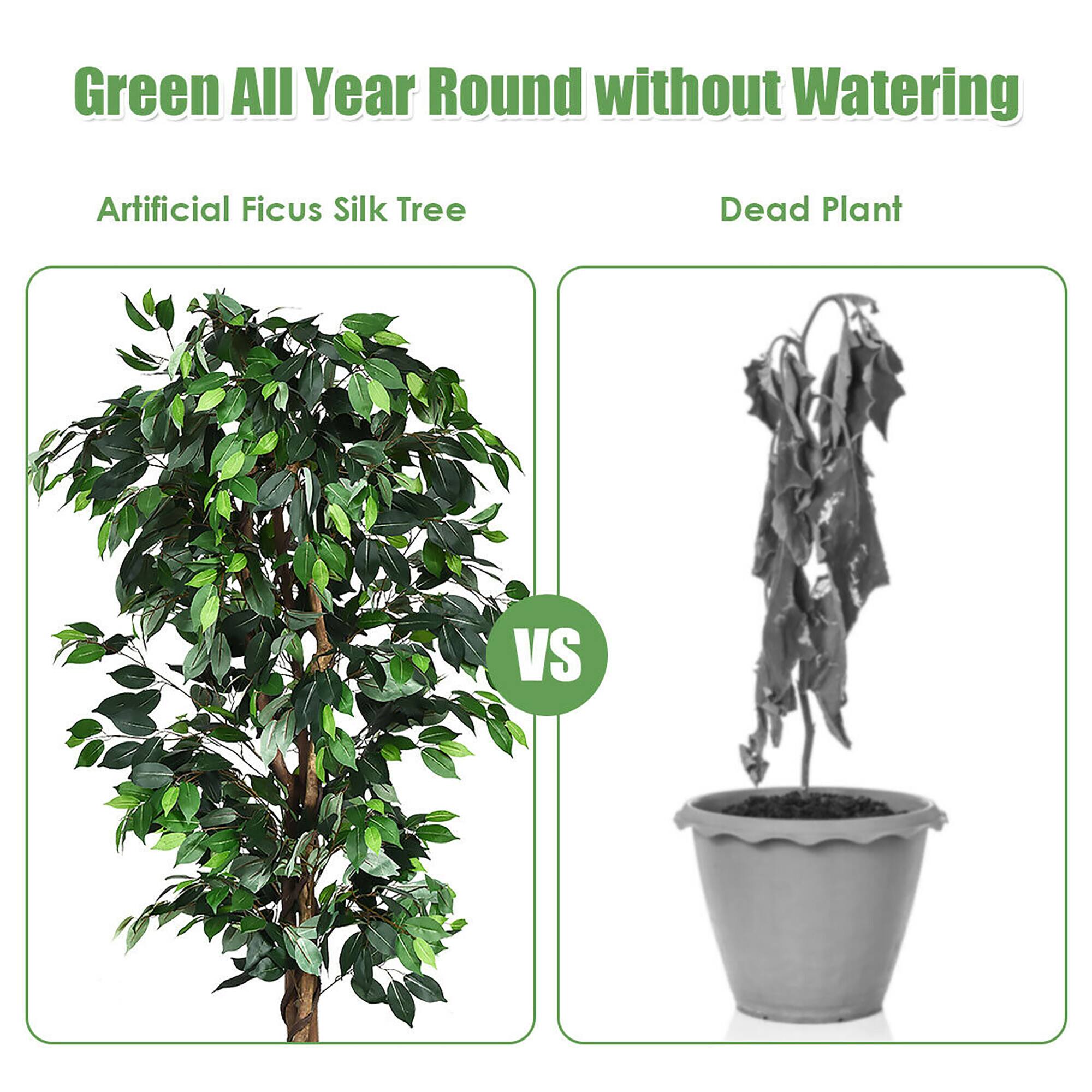 Green All Year Round without Watering

Artificial Ficus Silk Tree

VS

Dead Plant