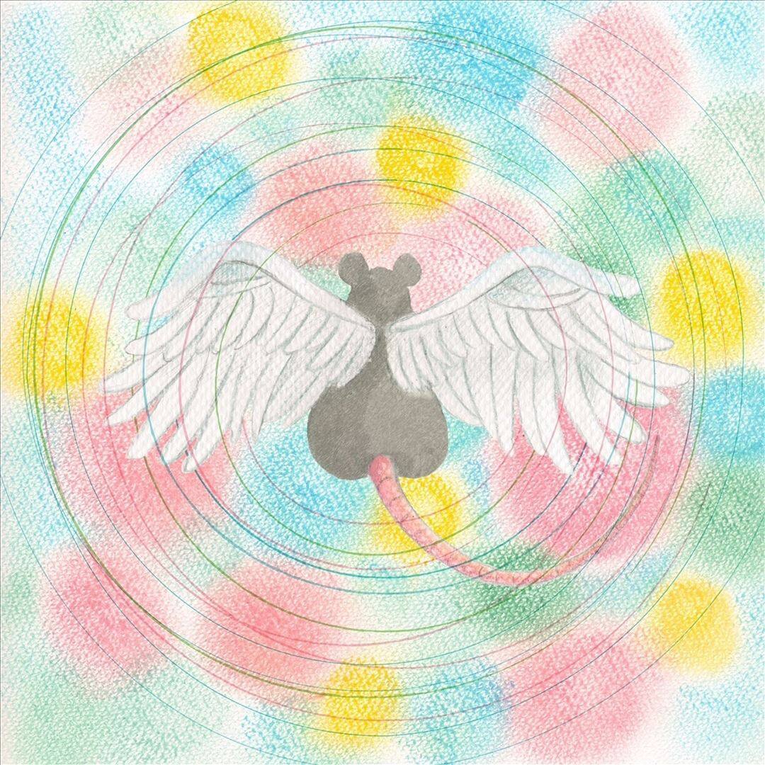 Front. Animaru [LP].