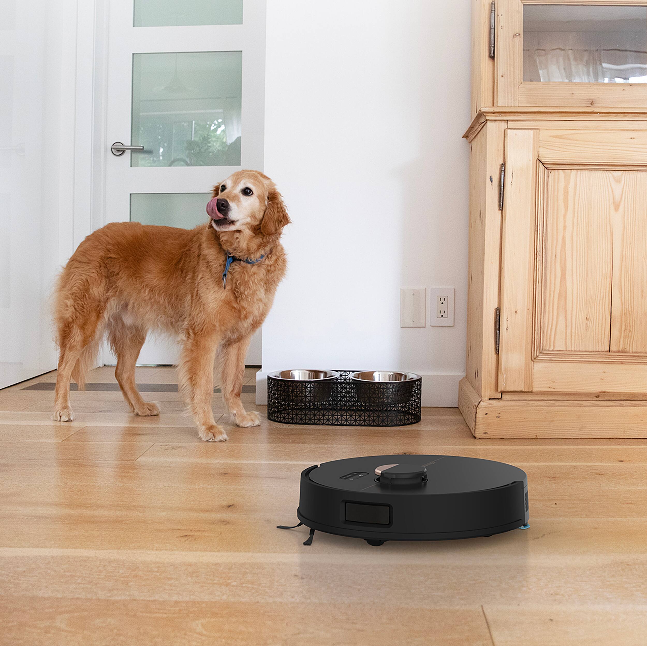 Alt View 2. bObsweep - Dustin Plus/Combo Brush Set.