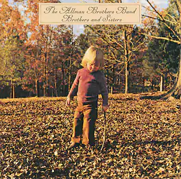 The Allman Brothers Band - Brothers and Sisters - VINYL LP