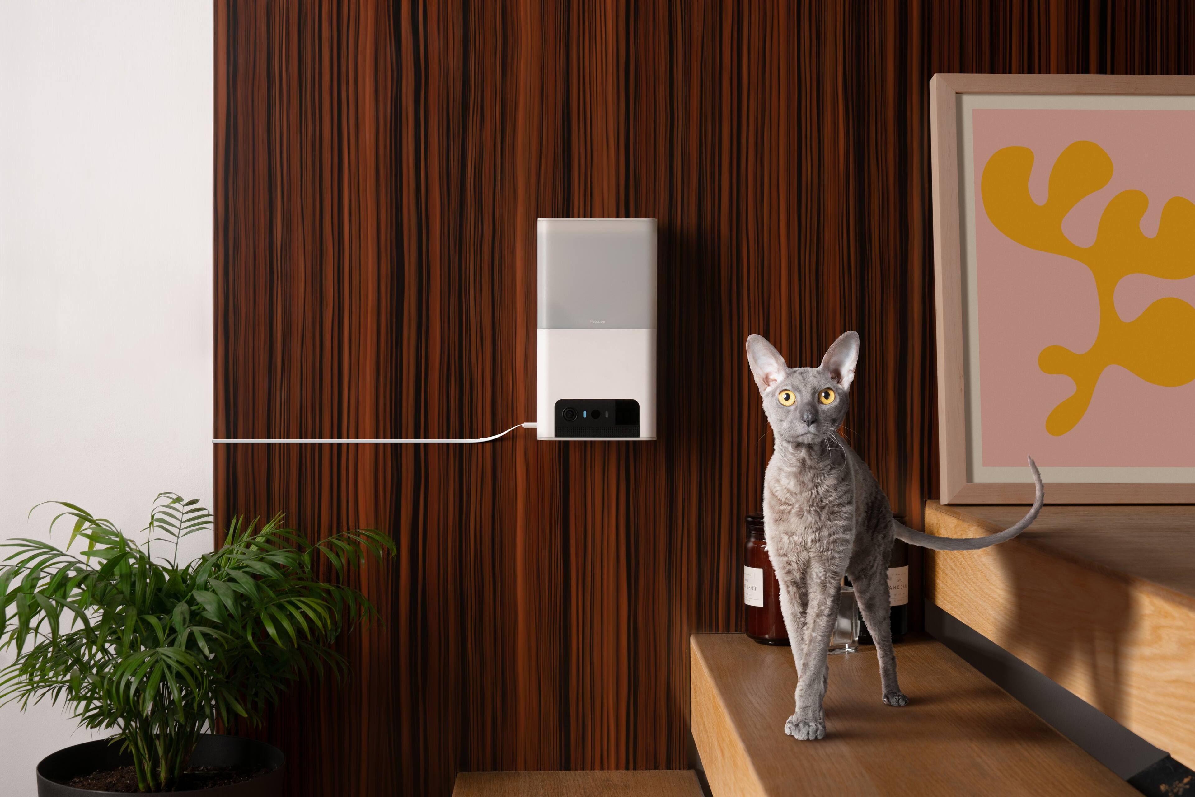 Alt View 1. Petcube - Bites 2 Lite Wi-Fi Pet Camera with Treat Dispenser, 1080p HD, Night Vision, 2-Way Audio & Motion Alerts - Grey.