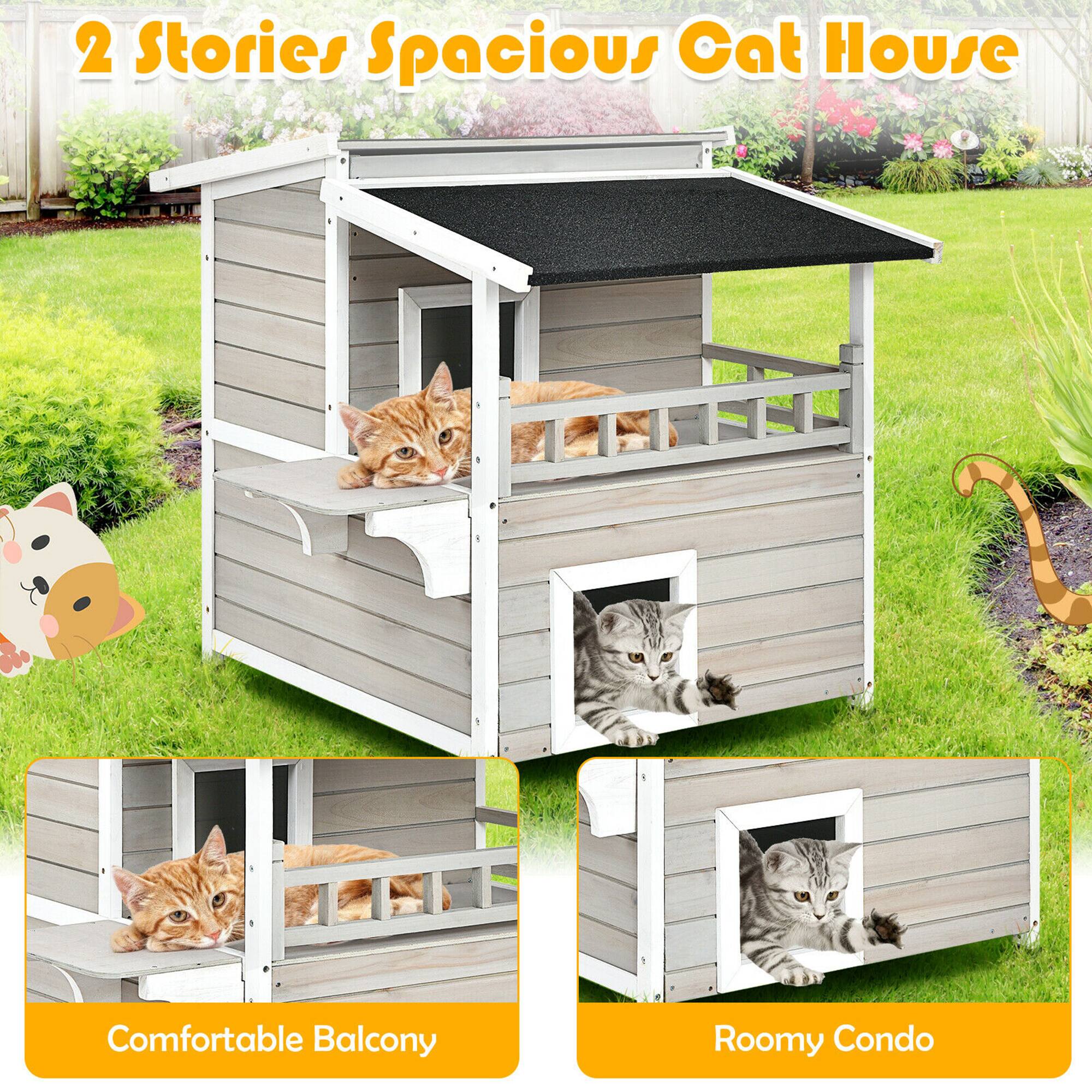 2 Stories Spacious Cat House

Comfortable Balcony

Roomy Condo