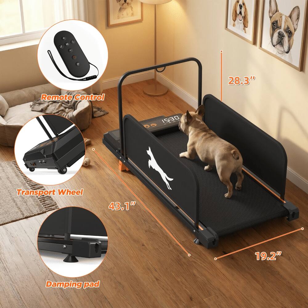 - Remote Control
- Transport Wheel
- Damping pad

Dimensions:
- 28.3"
- 43.1"
- 19.2"