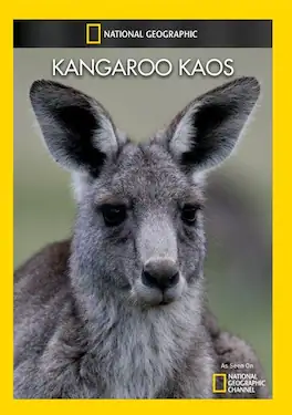 Kangaroo Kaos - DVD