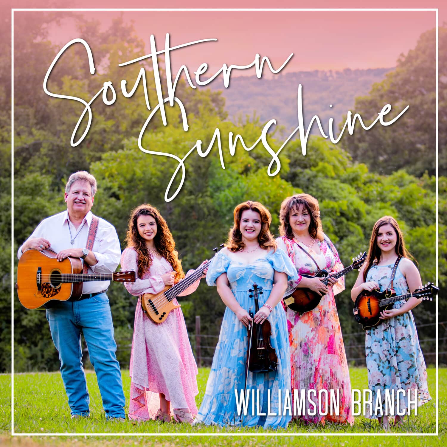 Williamson Branch - Southern Sunshine   - COMPACT DISCS [CD] price history on PriceWatchPro