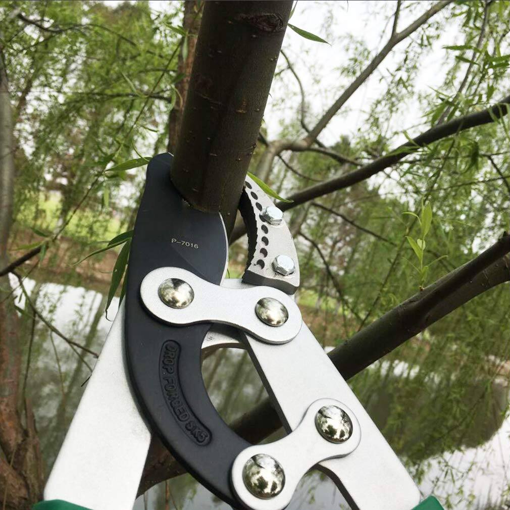 P-7016  
OROP FORGED SK5