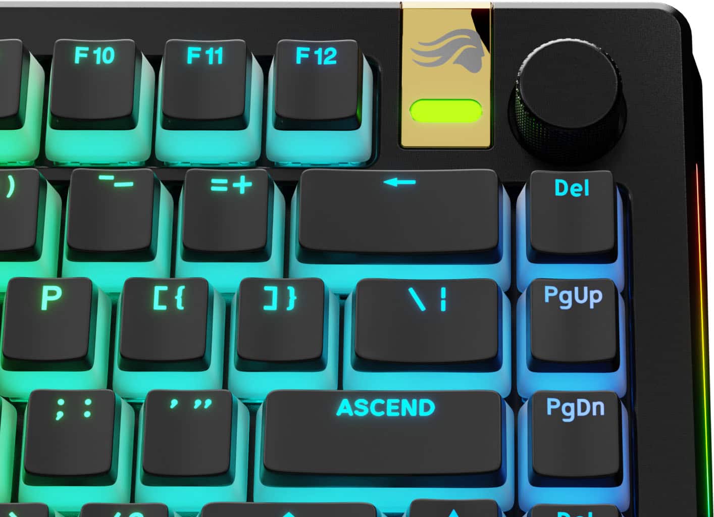The text on the image can be grouped and corrected as follows:
1. The F keys (F1, F2, F3, F4, F5, F6, F7, F8, F9, F10, and F11) are located in the top row of the keyboard.
2. The F12 key is located in the bottom row, to the right of the F11 key.
3. The Del key is located in the bottom row, to the left of the F12 key.
4. The PgUp and PgDn keys are located in the bottom row, to the right of the Del key.
5. The Ctrl key is located in the bottom row, to the left of the PgUp key.
6. The I key is located in the bottom row, to the right of the Ctrl key.
7. The P key is located in the bottom row, to the right of the I key.
The image shows a close-up of a keyboard with the F keys and other keys labeled.