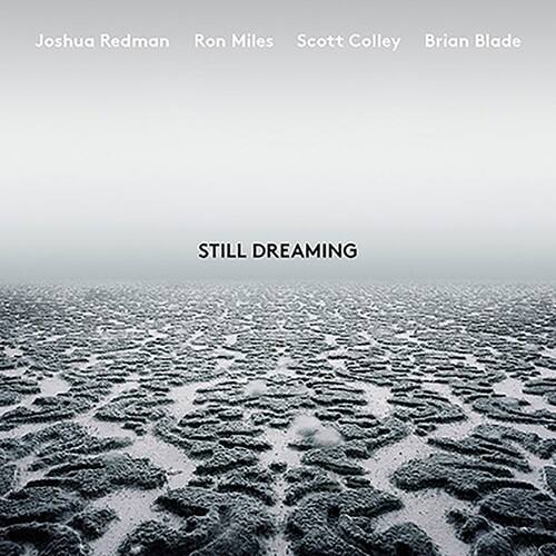 Joshua Redman - Still Dreaming   - VINYL LP price history on PriceWatchPro