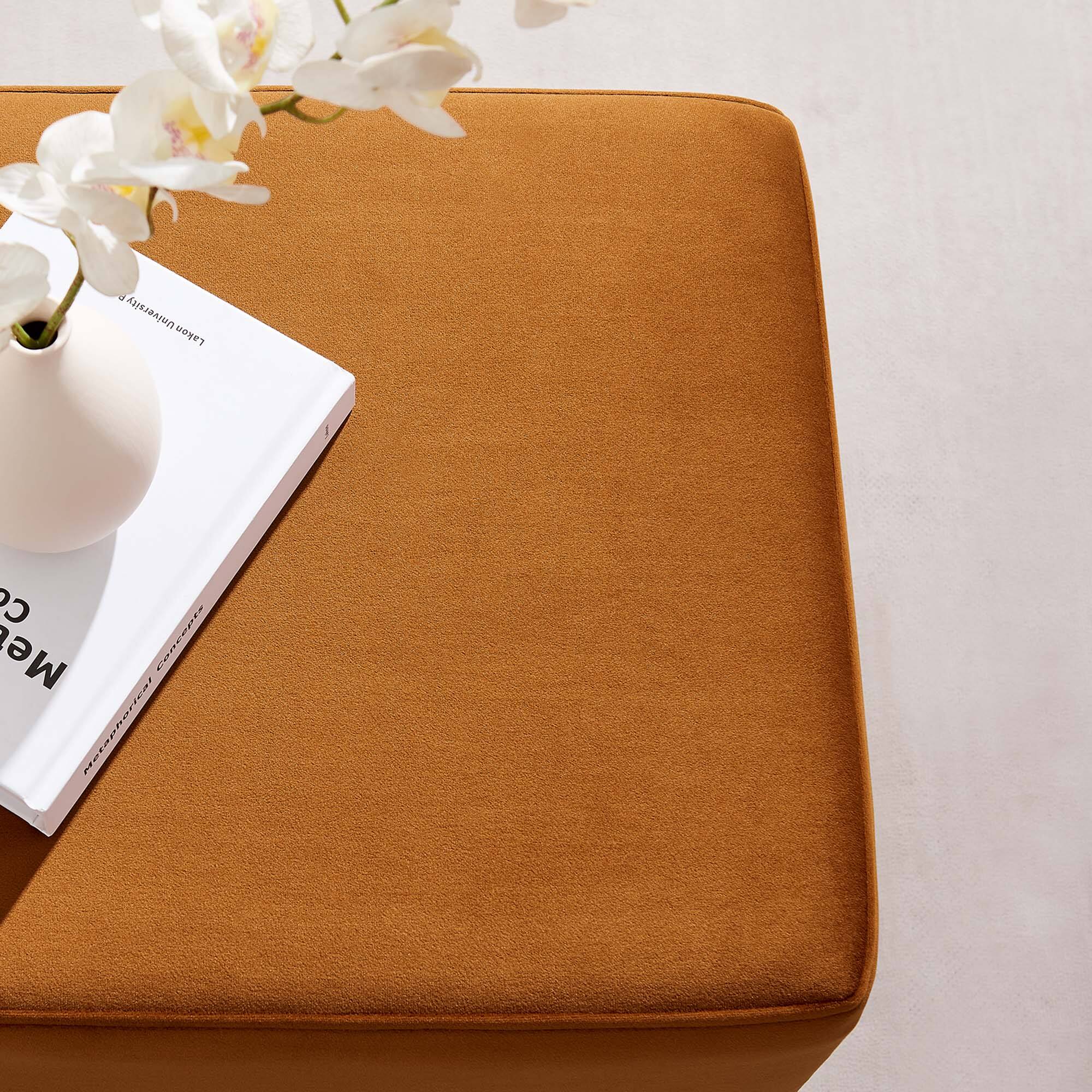 The text on the image reads:

"Metaphysical
Lecture Notes"