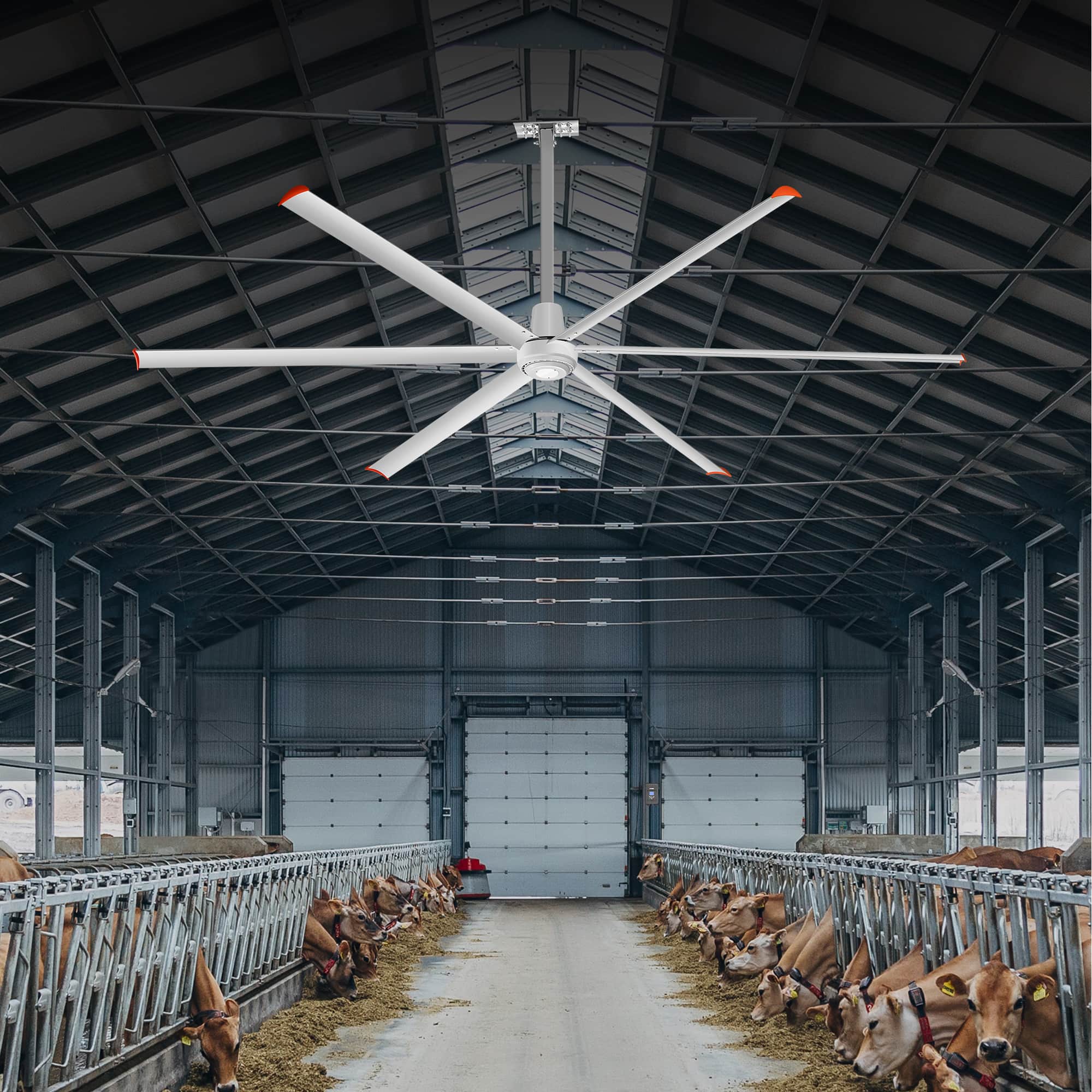 Front. Breezary - 120/144 Inch 12ft HVLS Industrial Ceiling Fan, DC Motor,  Aluminum Blades, Downrod Mount, High Airflow, Commercial Grade - 144-in-Sliver (6-Blade).