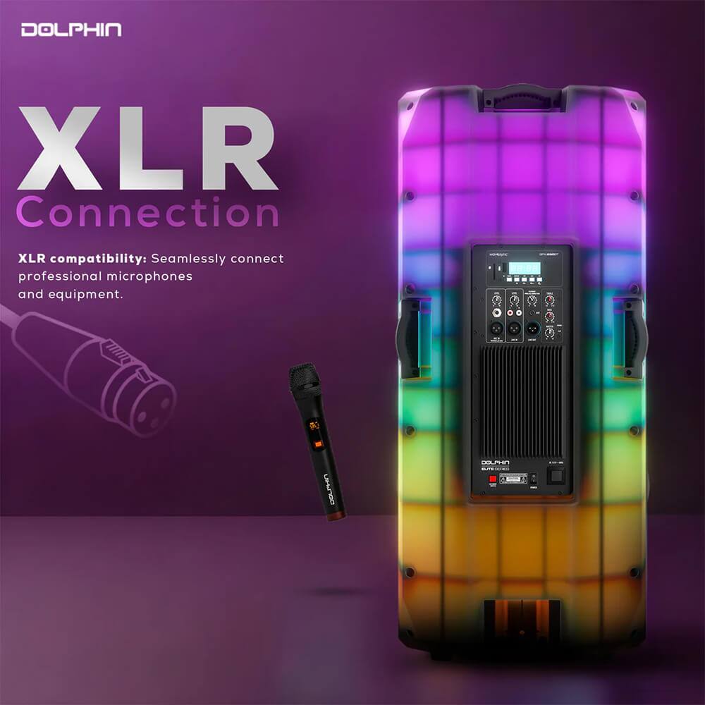 DOLPHIN  
XLR Connection  

XLR compatibility: Seamlessly connect professional microphones and equipment.