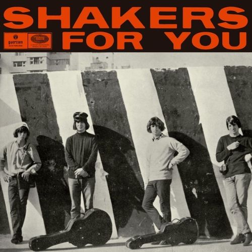 Shakers for You [LP] - VINYL