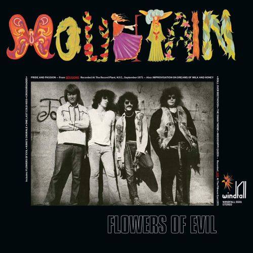 

Flowers of Evil [LP] - VINYL