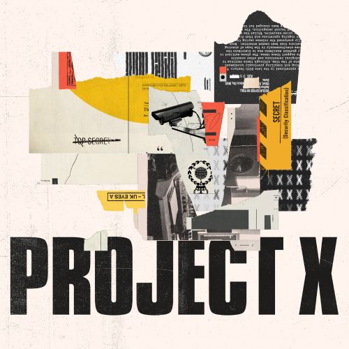 

Project X [LP] - VINYL