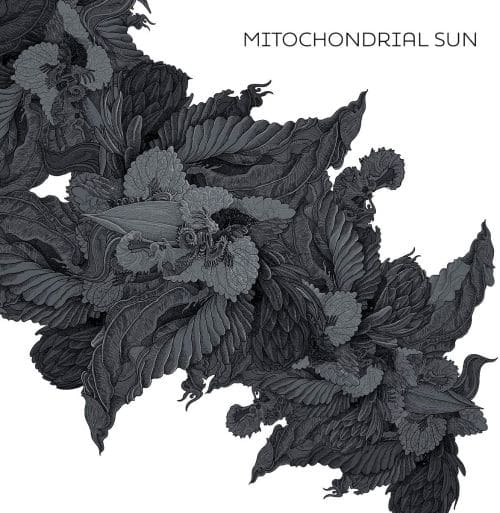 

Mitochondrial Sun [LP] - VINYL