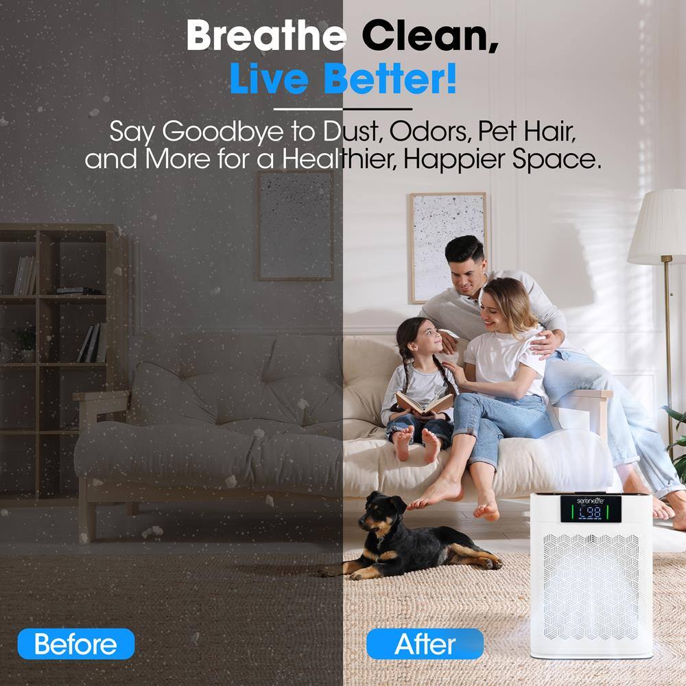 Breathe Clean, Live Better!  
Say Goodbye to Dust, Odors, Pet Hair, and More for a Healthier, Happier Space.  

Before  
After