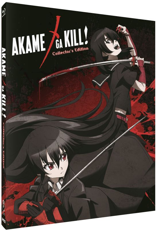 Akame Ga Kill 1 [Blu-ray]