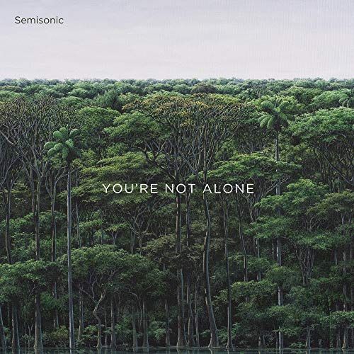 

You're Not Alone [LP] - VINYL