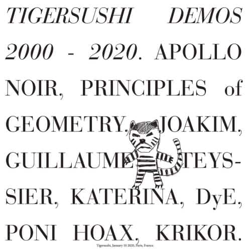 Tigersushi Demos 2000-2020 [LP] - VINYL