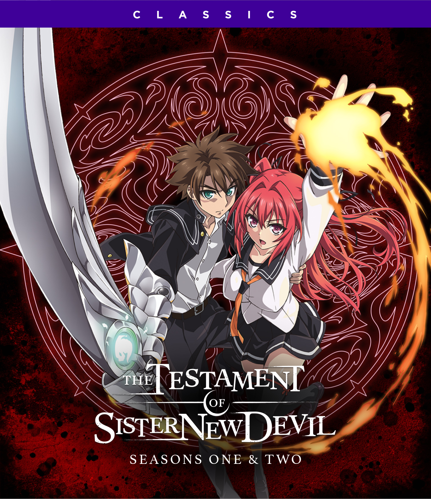 Anime Like The Testament of Sister New Devil BURST