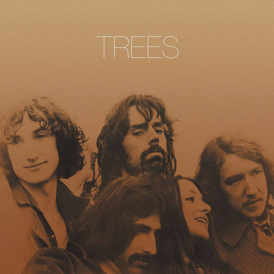 Best Buy Trees [LP] VINYL
