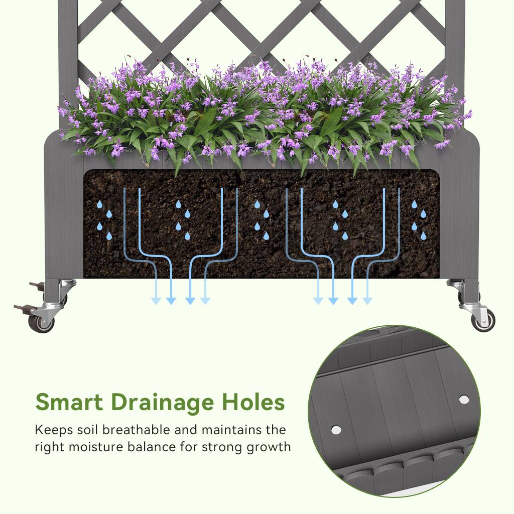 Smart Drainage Holes  
Keeps soil breathable and maintains the right moisture balance for strong growth