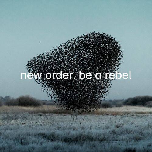 Be a Rebel [12 inch Vinyl Single]