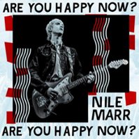 Are You Happy Now? [LP] - VINYL - Front_Original