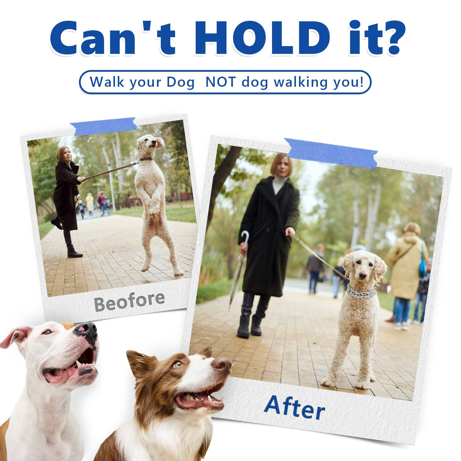 Can't HOLD it?  
Walk your Dog NOT dog walking you!  
Before  
After