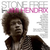 Stone Free: A Tribute to Jimi Hendrix [LP] - VINYL - Front_Original